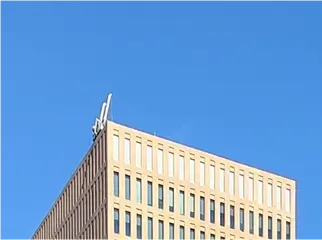 Peritaje judicial
